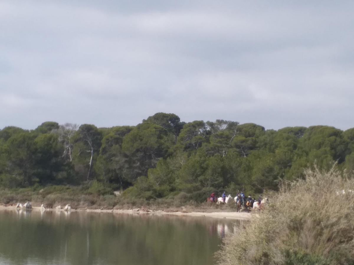 Cabanes Des Aresquiers فرونتينيان المظهر الخارجي الصورة